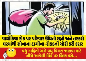 MailVadodara.com - The-family-was-sleeping-on-Waghodia-Road-and-the-smugglers-stole-gold-ornaments-and-cash-from-the-house-and-escaped