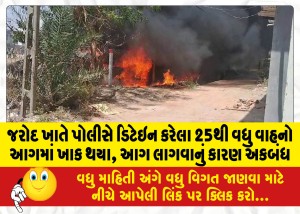 MailVadodara.com - More-than-25-vehicles-detained-by-police-at-Jarod-gutted-in-fire-cause-of-fire-unknown