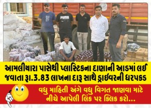 આમલીયારા પાસેથી પ્લાસ્ટિકના દાણાની આડમાં લઈ જવાતા રૂા.3.83 લાખના દારૂ સાથે ડ્રાઇવરની ધરપકડ