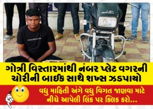 MailVadodara.com - Man-caught-with-stolen-bike-without-number-plate-from-Gotri-area