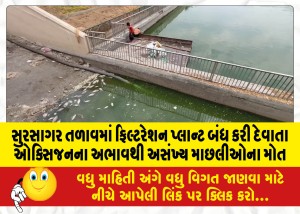 Due-to-lack-of-oxygen-due-to-shutdown-of-filtration-plant-in-Sursagar-Lake-numerous-fishes-die