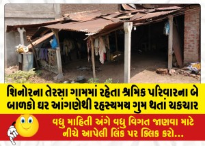 MailVadodara.com - Two-children-of-a-laboring-family-living-in-Shinor-Tersa-village-are-shocked-after-they-mysteriously-disappear-from-their-home