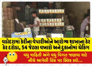 MailVadodara.com - Mango-traders-in-Vadodara-raided-by-Health-Branch-checking-in-54-warehouses-and-shops