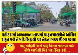 MailVadodara.com - In-Vadodara-net-awnings-were-erected-at-signals-to-provide-partial-relief-to-motorists-in-the-scorching-heat