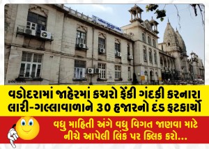 MailVadodara.com - In-Vadodara-a-lorry-gallawala-who-dumped-garbage-in-public-was-fined-30-thousand