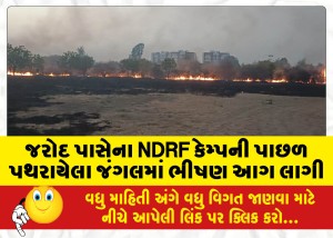 MailVadodara.com - A-fierce-fire-broke-out-in-the-forest-spread-behind-the-NDRF-camp-near-Jarod