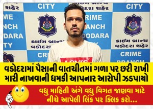 MailVadodara.com - In-Vadodara-the-accused-who-threatened-to-kill-with-a-knife-on-his-throat-during-a-money-conversation-was-caught