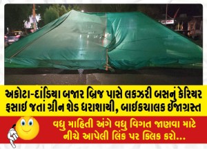 MailVadodara.com - Green-shed-collapses-after-luxury-bus-carrier-gets-stuck-near-Akota-Dandia-Bazar-Bridge-biker-injured