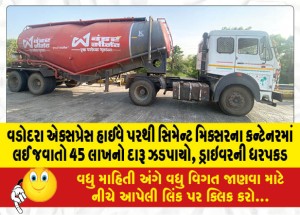 MailVadodara.com - Liquor-worth-45-lakhs-was-seized-from-Vadodara-Express-Highway-in-a-cement-mixer-container-driver-arrested