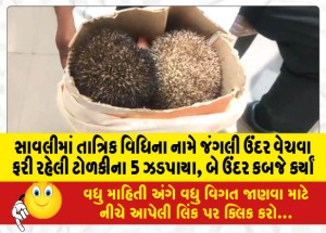 MailVadodara.com - 5-of-the-gang-selling-wild-mice-in-the-name-of-Tatrik-ritual-in-Savli-were-caught-two-mice-seized