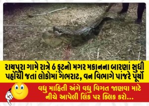 MailVadodara.com - In-Raipura-village-after-a-6-foot-crocodile-reached-the-door-of-the-house-at-night-the-people-panicked-the-forest-department-closed-the-cage