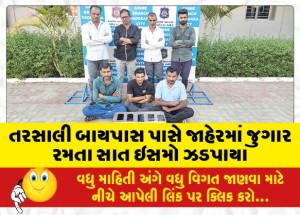 MailVadodara.com - Seven-people-caught-gambling-in-public-near-Tarsali-Bypass