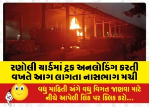 રણોલી યાર્ડમાં ટ્રક અનલોડિંગ કરતી વખતે આગ લાગતા નાસભાગ મચી