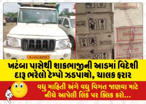 MailVadodara.com - A-tempo-full-of-foreign-liquor-under-the-guise-of-vegetables-was-seized-from-Khatamba-the-driver-absconding