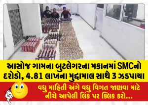 MailVadodara.com - SMC-raids-bootleggers-house-in-Asoj-village-3-nabbed-with-worth-4-81-lakh