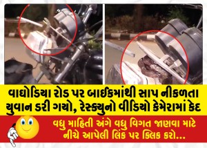 MailVadodara.com - A-young-man-got-scared-when-a-snake-came-out-of-his-bike-on-Waghodia-road-the-rescue-was-captured-on-video-camera