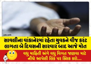 MailVadodara.com - A-young-man-living-in-Savli-Vankaner-died-today-after-two-days-of-treatment-due-to-electrocution