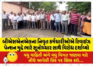 MailVadodara.com - Retired-employees-of-BSNL-protested-with-loud-slogans-on-the-issue-of-revised-pension