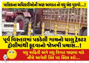 MailVadodara.com - A-dangerous-attempt-to-jump-from-the-ongoing-tractor-trolley-of-a-cow-caught-in-the-eastern-area