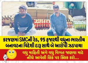 MailVadodara.com - Two-accused-caught-with-SMC-Red-Indian-made-foreign-liquor-worth-more-than-95-thousand-in-Karajan