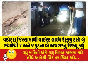 MailVadodara.com - Wildlife-Rescue-Trust-from-Vadodara-district-rescued-two-pythons-measuring-7-and-9-feet-from-two-locations