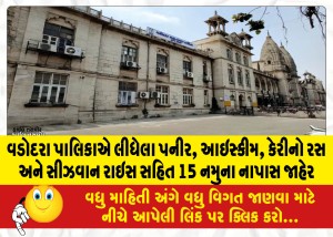 MailVadodara.com - Vadodara-Municipality-declares-15-samples-failed-including-cheese-ice-cream-mango-juice-and-seasoned-rice