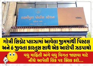 MailVadodara.com - An-accused-was-caught-with-a-pistol-and-6-live-cartridges-from-a-gym-in-Gotri-Signet-Plaza