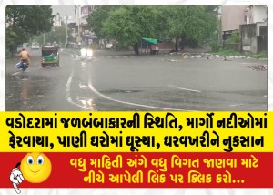 MailVadodara.com - Flood-situation-in-Vadodara-roads-turned-into-rivers-water-entered-houses-house-damage