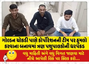 MailVadodara.com - Three-herdsmen-arrested-for-attacking-corporation-team-near-Golden-Chowkdi