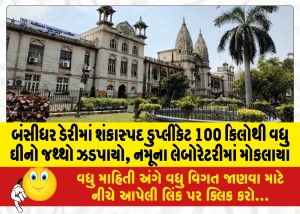 MailVadodara.com - More-than-100-kg-of-suspected-duplicate-ghee-seized-in-Bansidhar-dairy-samples-sent-to-laboratory