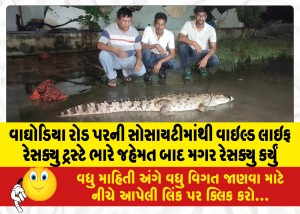 MailVadodara.com - Wild-Life-Rescue-Trust-rescued-a-crocodile-from-a-society-on-Waghodia-Road-after-a-lot-of-effort