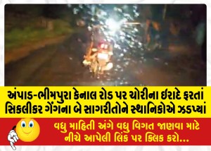 MailVadodara.com - Locals-nabbed-two-members-of-the-Siklikar-gang-while-roaming-on-the-Ampad-Bhimpura-canal-road-with-intent-to-steal