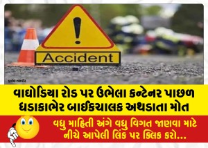 MailVadodara.com - Bike-rider-killed-after-crashing-into-container-standing-on-Waghodia-road