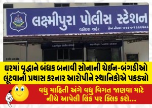 MailVadodara.com - Locals-caught-the-accused-who-tried-to-rob-the-old-man-hostage-of-the-gold-chain-bangles-in-the-house