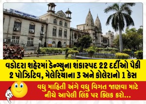 MailVadodara.com - Out-of-22-suspected-dengue-patients-in-Vadodara-city-2-positive-3-cases-of-malaria-and-1-case-of-cholera