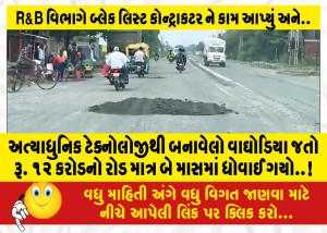 MailVadodara.com - A-tiger-made-with-state-of-the-art-technology-costs-Rs-12-crore-road-was-washed-away-in-just-two-months