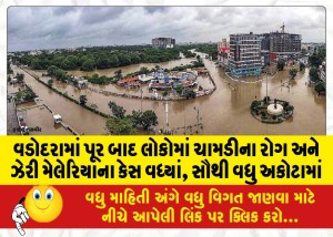 MailVadodara.com - Cases-of-skin-disease-and-toxic-malaria-among-the-people-increased-after-the-floods-in-Vadodara-most-in-Akota