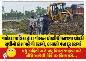 MailVadodara.com - Vadodara-Municipality-has-widened-the-road-from-Golden-Chowk-to-Ajwa-Chowk-pressures-have-also-been-removed