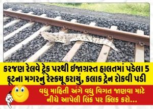 MailVadodara.com - An-injured-5-foot-crocodile-was-rescued-from-the-Karajan-railway-track-the-train-had-to-be-stopped-for-an-hour