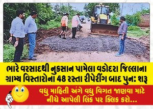 MailVadodara.com - 48-roads-in-rural-areas-of-Vadodara-district-damaged-by-heavy-rains-resume-after-repairing