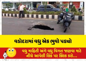 MailVadodara.com - It-fell-on-the-main-road-near-Govardhan-Nathji-mansion