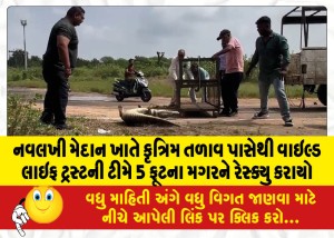 MailVadodara.com - A-5-foot-crocodile-was-rescued-by-a-team-of-the-Wildlife-Trust-from-an-artificial-pond-at-Navalkhi-Maidan