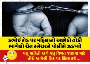 MailVadodara.com - Police-nabbed-a-chain-snatcher-who-ran-away-from-a-woman-house-on-Dabhoi-Road