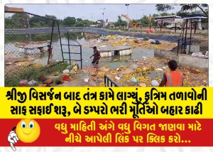 MailVadodara.com - After-the-visarjan-of-Sreeji-the-system-started-working-cleaning-of-artificial-ponds-started