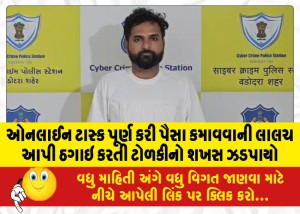 MailVadodara.com - The-person-of-the-gang-was-arrested-after-giving-the-lure-of-earning-money-by-completing-online-tasks