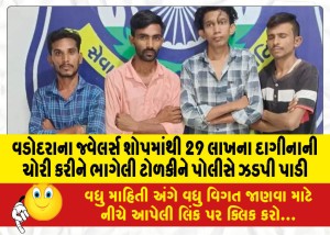 MailVadodara.com - Police-nabs-gang-that-stole-jewelery-worth-Rs-29-lakh-from-jeweler-shop-in-Vadodara