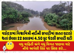 MailVadodara.com - the-level-of-Vishwamitri-river-has-dropped-by-4-50-feet-in-the-last-22-hours