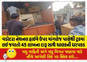 MailVadodara.com - Driver-arrested-with-liquor-worth-45-lakhs-in-truck-from-Mangalej-on-Vadodara-National-Highway