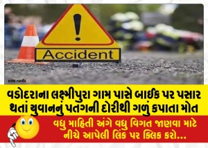 MailVadodara.com - A-young-man-died-after-being-strangled-by-a-kite-string-while-passing-by-on-a-bike-near-Laxmipura-village-in-Vadodara