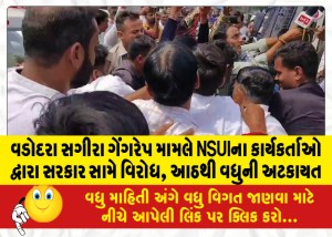 વડોદરા સગીરા ગેંગરેપ મામલે NSUIના કાર્યકર્તાઓ દ્વારા સરકાર સામે વિરોધ, આઠથી વધુની અટકાયત